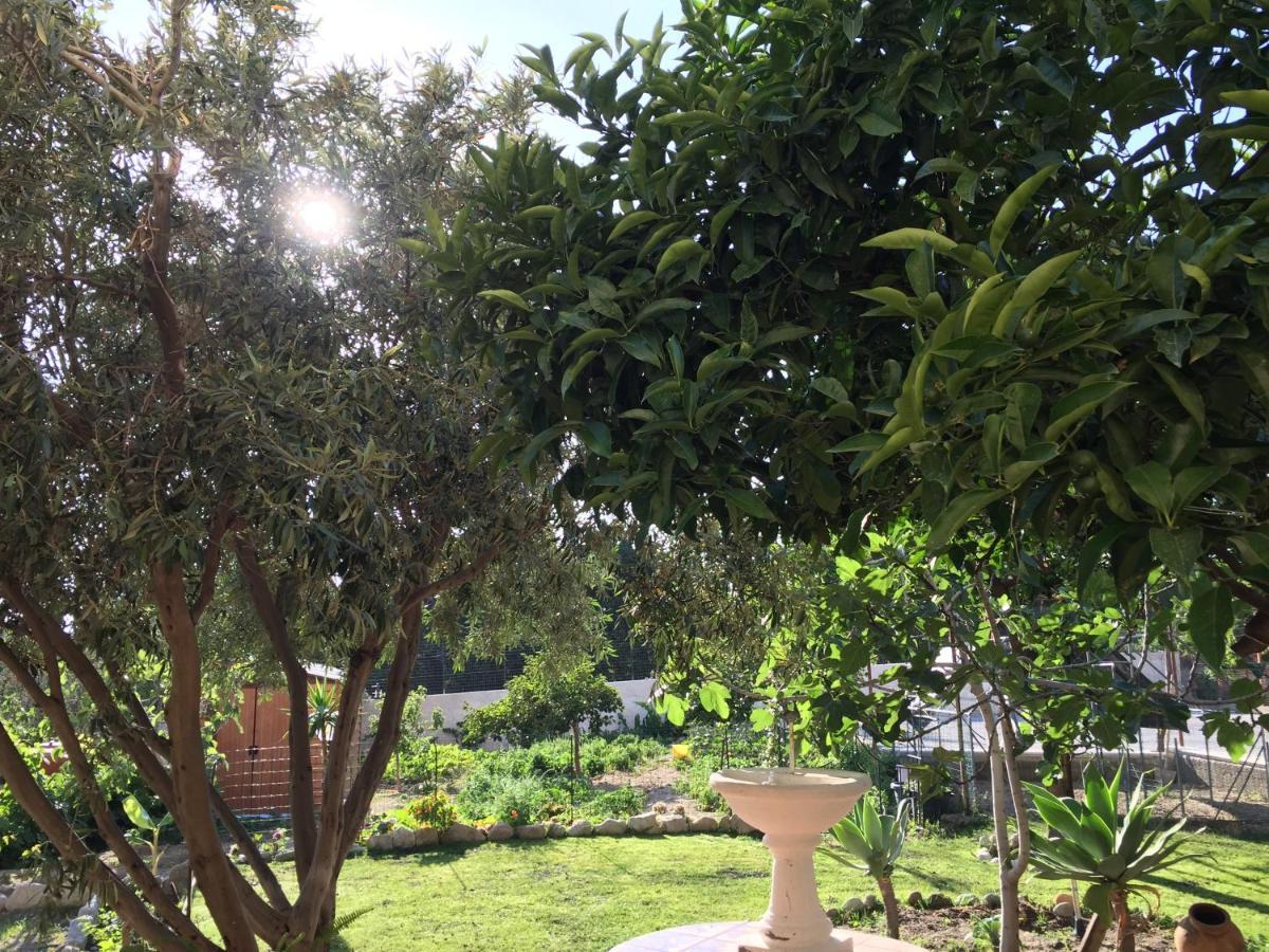 B&B Villa Magna Grecia Лаццаро Экстерьер фото